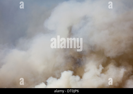 Stato di Washington Stati Uniti grande incendio di foresta Ellensburg Kittitas county Foto Stock