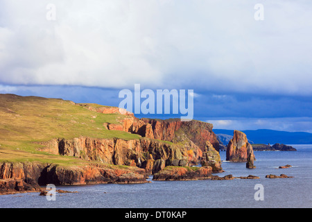 Il Drongs di arenaria rossa e pile di mare in Braewick sulla costa frastagliata. Eshaness, Isole Shetland Scozia, Regno Unito, Gran Bretagna Foto Stock
