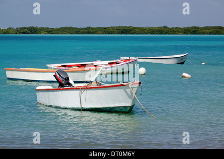 Piccole barche da pesca ormeggiate in Lac Bay, Bonaire. Alberi di mangrovia può essere visto sulla riva lontana Foto Stock