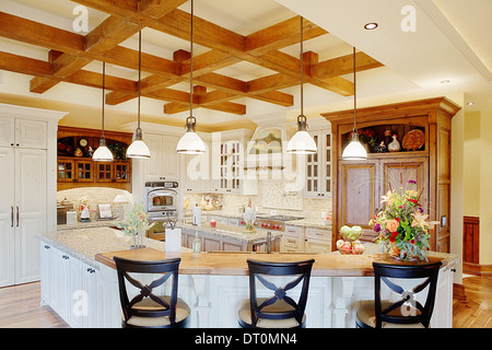 Una moderna cucina residenziale in una casa di lusso. Foto Stock