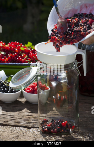 Versare in purea di frutta con un imbuto in un grande vaso di inscatolamento Foto Stock