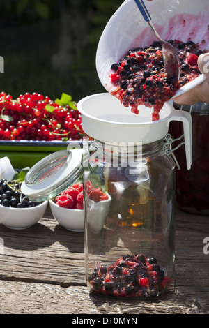 Versare in purea di frutta con un imbuto in un grande vaso di inscatolamento Foto Stock