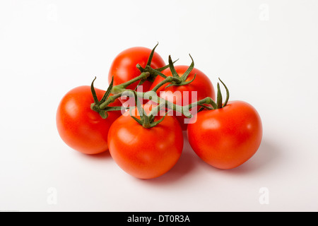 Pomodori in vigna Foto Stock