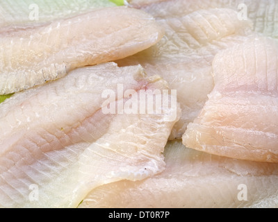 Primo piano di Tilapia i filetti di pesce Foto Stock