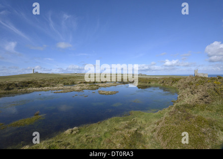 Polo a razzo Pond guardando verso il Faro Vecchio, villaggio e St Helen's chiesa, Lundy, Devon Foto Stock