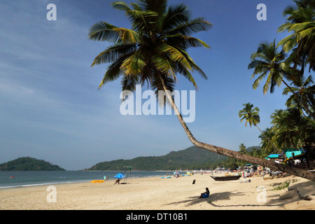 Palolem beach in Goa, India del Sud foto: pixstory / Alamy Foto Stock