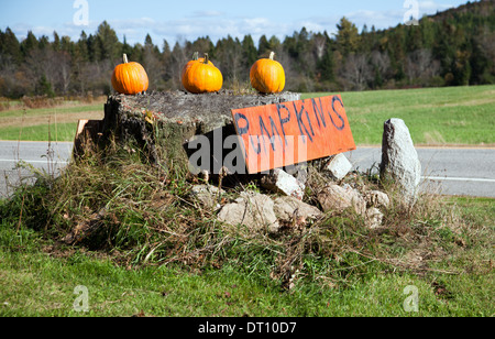 Strada stand con vendita di zucche, Errol area, New Hampshire. Foto Stock