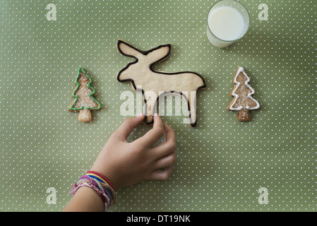 Woodstock New York STATI UNITI D'AMERICA organic biscotti fatti in casa la renna alberi di Natale Foto Stock