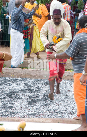 Cultura Hindu camminare sul fuoco BODY PIERCING TRASPORTO DI DIETYS, onore della divinità Indù foto/JOHN ROBINSON Foto Stock