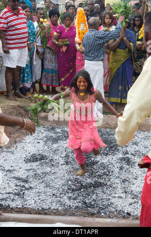 Cultura Hindu camminare sul fuoco BODY PIERCING TRASPORTO DI DIETYS, onore della divinità Indù foto/JOHN ROBINSON Foto Stock