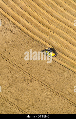 Vista aerea di una mietitrebbia in un wheatfield. Farm Works: estate il raccolto Foto Stock