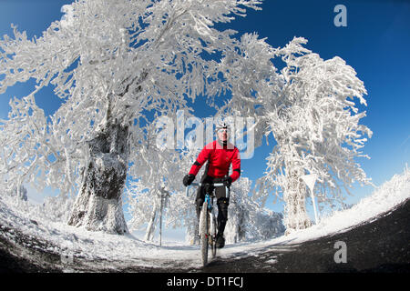 Krasny Les, Repubblica Ceca. 26 gen 2014. Racing ciclista Tino Zieger cicli attraverso il bianco paesaggio invernale dei Monti Metalliferi vicino a Krasny Les, Repubblica ceca, 26 gennaio 2014. (Modello rilasciato) Foto: Arno Burgi/dpa/Alamy Live News Foto Stock