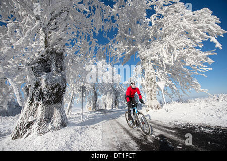 Krasny Les, Repubblica Ceca. 26 gen 2014. Racing ciclista Tino Zieger cicli attraverso il bianco paesaggio invernale dei Monti Metalliferi vicino a Krasny Les, Repubblica ceca, 26 gennaio 2014. (Modello rilasciato) Foto: Arno Burgi/dpa/Alamy Live News Foto Stock