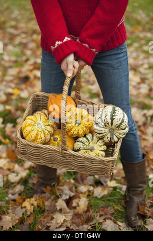 Una donna in maglia rossa il ponticello tenendo un cesto di verdura zucche e zucche agricoltura biologica Foto Stock