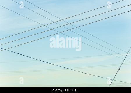 Le linee di alimentazione aeree criss crossing in aria a Belridge in California Foto Stock