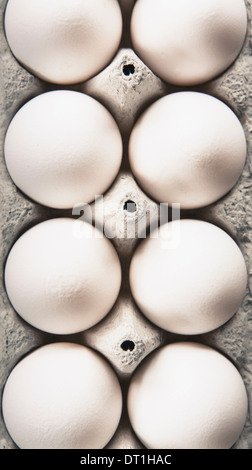 Vista dal sovraccarico di intervallo libero le uova organiche in un cartone uovo scatola in cartone Foto Stock