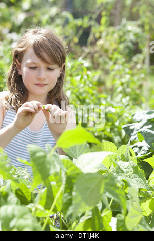 Una giovane ragazza seduta in tra i freschi Fogliame verde di un giardino di ortaggi e fiori raccolta ortaggi freschi Foto Stock