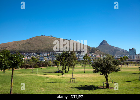 Punto verde parco in Città del Capo - Sud Africa Foto Stock