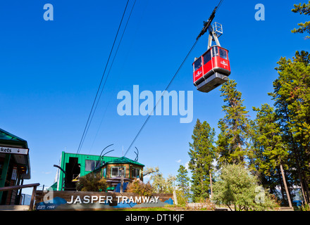 Gondola rossa auto sulla Cabinovia di Jasper salendo Whistler Mountain, il Parco Nazionale di Jasper, Alberta, Canada, America del Nord Foto Stock