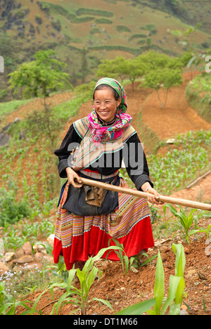 Fiore di etnia Hmong donna che lavorano nei campi, Bac ha area, Vietnam, Indocina, Asia sud-orientale, Asia Foto Stock