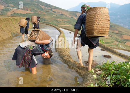 Giovane ragazza di nero di etnia Hmong gruppo che lavora per i campi di riso, Sapa area, Vietnam, Indocina, Asia sud-orientale, Asia Foto Stock