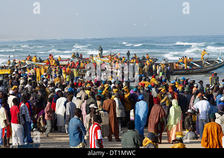 Pesce Kayar Harbour, il più grande porto di pesce in Senegal, Africa occidentale, Africa Foto Stock