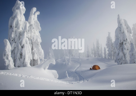 Una luce arancione brillante tenda tra coperta di neve alberi su un crinale nevoso si affaccia su una montagna a distanza Foto Stock