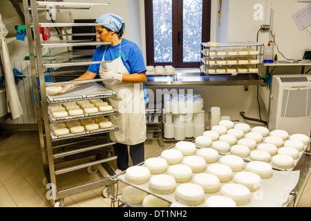 L'allevamento di capre per la produzione di formaggio presso il Presidio Slow Food della Robiola di Roccaverano, Piemonte, Italia, Europa Foto Stock