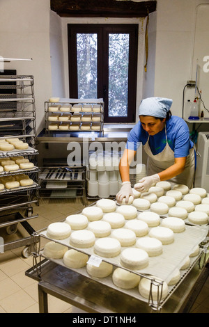 L'allevamento di capre per la produzione di formaggio presso il Presidio Slow Food della Robiola di Roccaverano, Piemonte, Italia, Europa Foto Stock