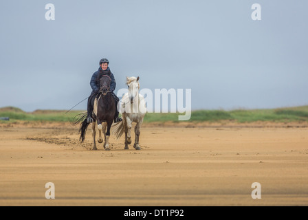 Ragazzo giovane a cavallo sulla spiaggia Longufjorur, Snaefellsnes Peninsula, Islanda Foto Stock