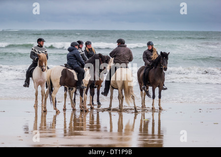 Gruppo a cavallo sulla spiaggia Longufjorur, Snaefellsnes Peninsula, Islanda Foto Stock