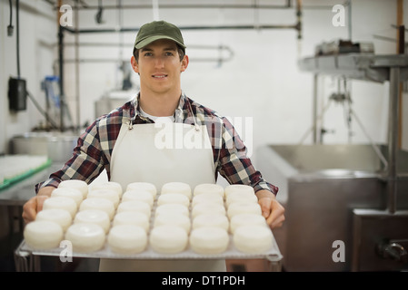 Organic dairy farm con un misto di mandria di mucche e capre Dairy edificio con grandi ruote di stagionatura dei formaggi vassoi di produrre Foto Stock