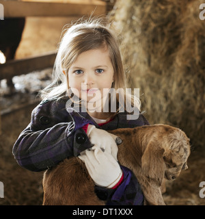 Un bambino nel capannone animale holding e accarezzare un bambino di capra Foto Stock