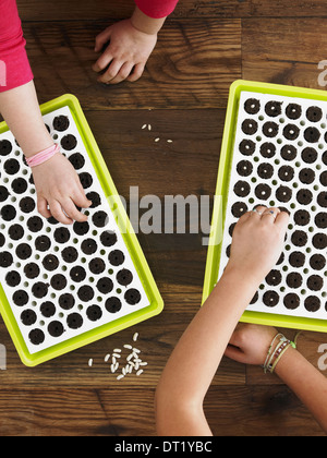 Vista dal sovraccarico dei due figli di piantare semi in un seme vassoio crescente Foto Stock