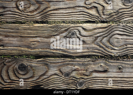 Il pattern di grano in assi di legno di un pannello a piedi. Foto Stock