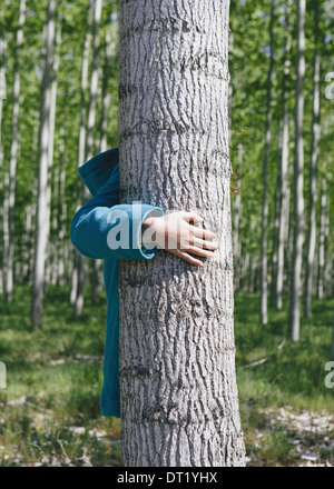 Dieci anni di ragazza in piedi dietro cresciuti commercialmente Poplar Tree su grandi tree farm vicino Pendleton Foto Stock