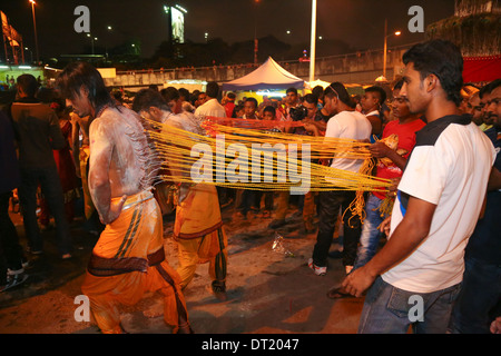 3 Thaipusam devoti tirato da filari di ganci piercing loro torna alla grotta di Batu, Kuala Lumpur in Malesia 2014. Foto Stock