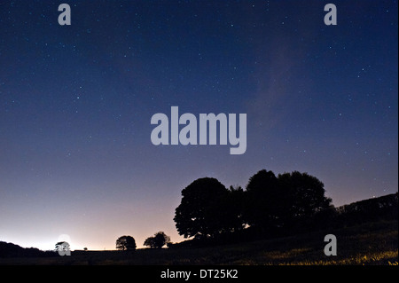 Il cielo di notte sopra i campi e gli alberi, Cheshire, Inghilterra, Regno Unito Foto Stock