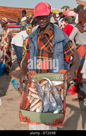 Pescatore locale visualizzando la sua cattura, Tanji Villaggio di Pescatori, Gambia, Africa occidentale Foto Stock