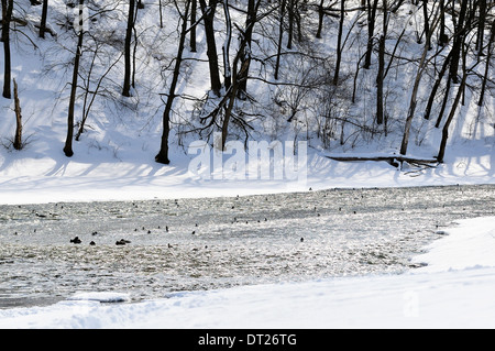 Fiume che scorre attraverso la valle in inverno Foto Stock