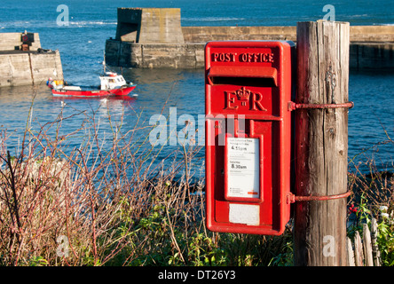 Rosso brillante British Post Box dal porto nel villaggio di Craster, Craster, Northumberland, England, Regno Unito Foto Stock