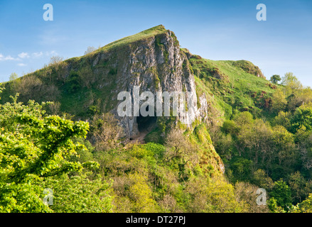 Il Thor's Cave, sul collettore modo, valle del collettore, il Parco Nazionale di Peak District, Staffordshire, England, Regno Unito Foto Stock