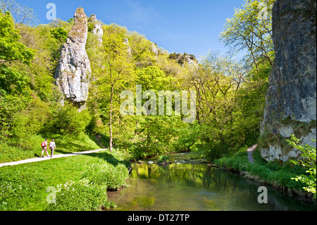 Gli scuotipaglia dal collettore del fiume, passando Ilam Rock & Pickering Tor, Dovedale, Parco Nazionale di Peak District, Derbyshire, England, Regno Unito Foto Stock