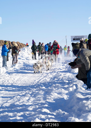 Alice bianco della Finlandia, MN imposta off sul suo dieci-classe dog sled gara di domenica, 2 feb 2014. Scene da apostolo Isole Sled D Foto Stock