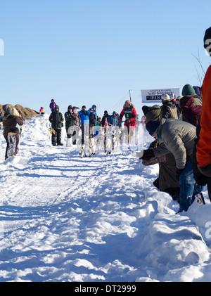 Alice bianco della Finlandia, MN imposta off sul suo dieci-classe dog sled gara di domenica, 2 feb 2014. Scene da apostolo Isole Sled D Foto Stock