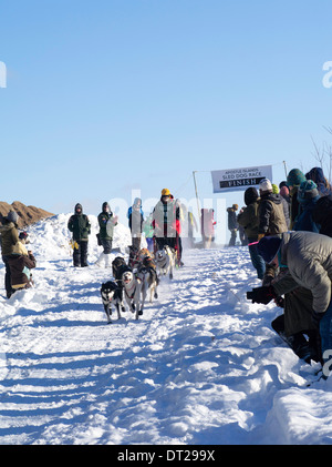 Linus Meyer di Melrose, MN imposta off sul suo dieci-classe dog sled gara di domenica, 2 feb 2014. Scene da apostolo Isole Sled D Foto Stock