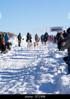 Rita Wehseler di Tofte, MN imposta off sul suo dieci-classe dog sled gara di domenica, 2 feb 2014. Scene da apostolo Isole Sled D Foto Stock