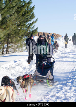 Rita Wehseler di Tofte, MN imposta off sul suo dieci-classe dog sled gara di domenica, 2 feb 2014. Scene da apostolo Isole Sled D Foto Stock