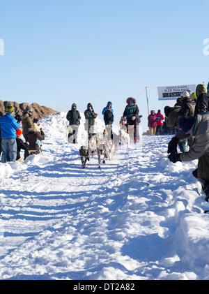 Amber Evans di Milaca, MN imposta off sul suo dieci-classe dog sled gara di domenica, 2 feb 2014. Scene da apostolo isole non slitta Foto Stock