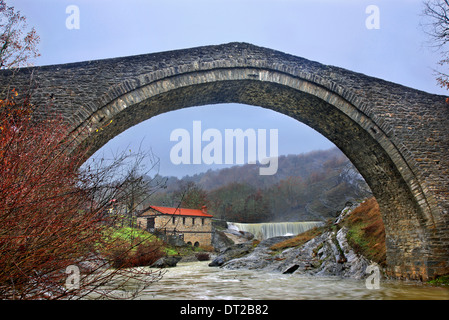 Antica pietra ponte arcuato, mulino e la cascata nel villaggio Chrysavgi, Voio montagna, Kozani, Macedonia, Grecia Foto Stock